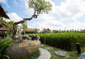 Tepi Sawah Villas - Image 4