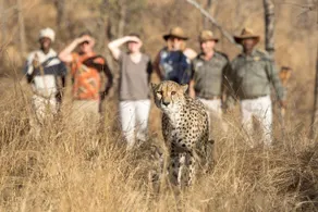 CHISOMO SAFARI LODGE - Image 4