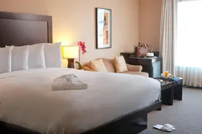 The Orlando - Image 4