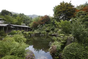Matsunoi - Image 2