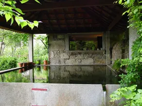 Quinta da Picaria - Image 5