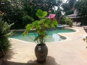 Shanti Lodge - Image 5