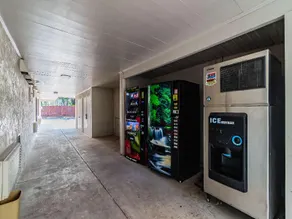 Masters Inn - Tampa Fairgrounds - Image 3