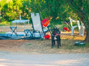 Talamone Camping Village - Image 3