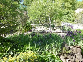 Les Belles Terrasses - Image 5