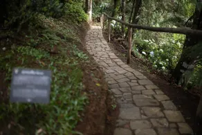 Quebra Noz Conforto E Natureza - Image 3