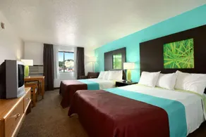 The Suite Inn - Image 4