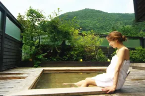 Auberge Tosayama - Image 5