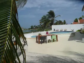 Karibu Aruba - Image 3