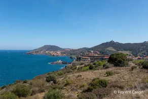 Vvf Residence Port-Leucate - Image 5