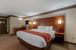 Comfort Inn - Image 5