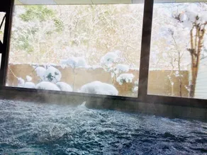 Dochu Land Shin Onsen - Image 3