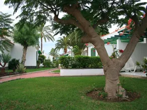 Campo Golf - Image 5