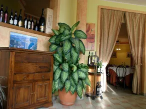 Hotel Giampy - Image 1