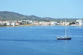 Don Pepe - Image 5