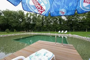 Waldhotel Villa Waldeck - Image 5