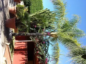Residence Hotel Felix - Image 5