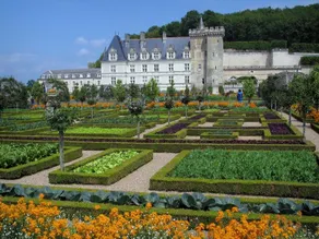 Nature Chateaux A Villandry - Image 4