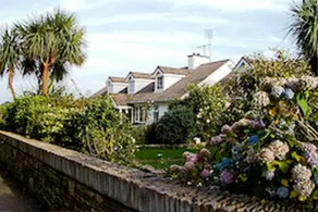 Tara Farm - Image 5