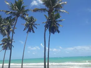 Pousada Boneca De Pano - Image 5