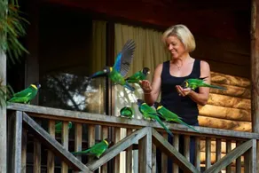 RAC Karri Valley Resort - Image 4