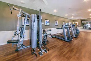 Holiday Inn Club Vacations Orlando Breeze Resort - Image 4