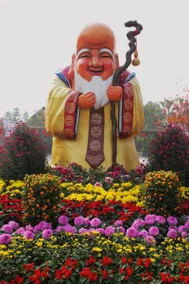 7 Days Premium (Shenzhen Bao'an Bus Station Haiya Mega Mall) - Image 3