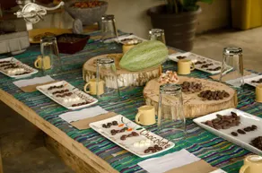 Arenal Cacao House - Image 4