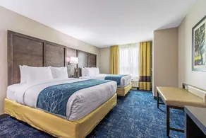 Comfort Suites Humble Houston At Beltway 8 - Image 4
