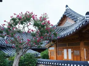 Dajeong Guesthouse - Hostel - Image 4