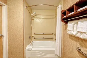 Hampton Inn & Suites Pigeon Forge On The Parkway - Image 5