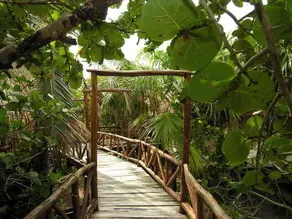 Jade Tulum - Image 5