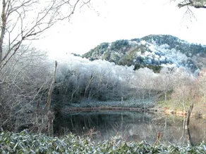 Hotel Shirakabaso - Image 4