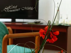 Demminer Mühle - Image 3