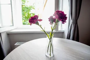 Zagreb City Vibe Apartments & Rooms - Image 5