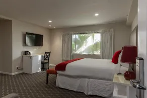 Shelter Hotels Los Angeles - Image 3