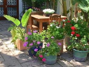 Ocean Golf Guest House - Image 3