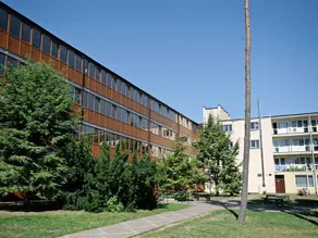 Famasta - Image 2