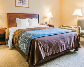 Rodeway Inn Merce - Image 4