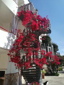Residence Jolly - Image 4