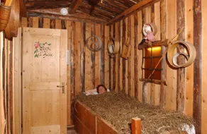 Hotel Ortles Dolomiti Walking & Spa - Image 2