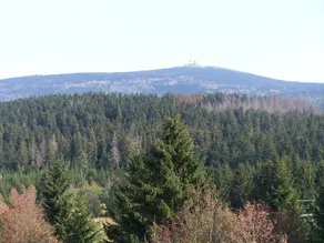 Mein Vier Jahreszeiten Garni - Image 3