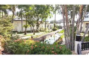 Golden Pine Beach Resort - Image 4