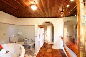 Chauve Souris Relais - Image 4