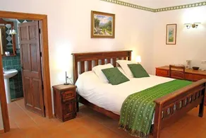 Molino Cuatro Paradas - Image 4