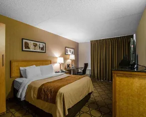 Comfort Inn Swift Current - Image 4