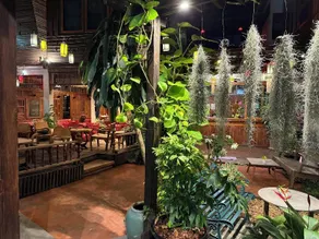 Pak Chiang Mai - Image 5