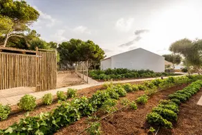 Bungalows Del Lago - Image 4