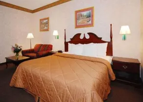 Comfort Inn (Tarboro) - Image 2
