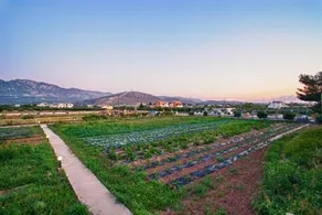 Ilios & Farming Hotel - Image 5